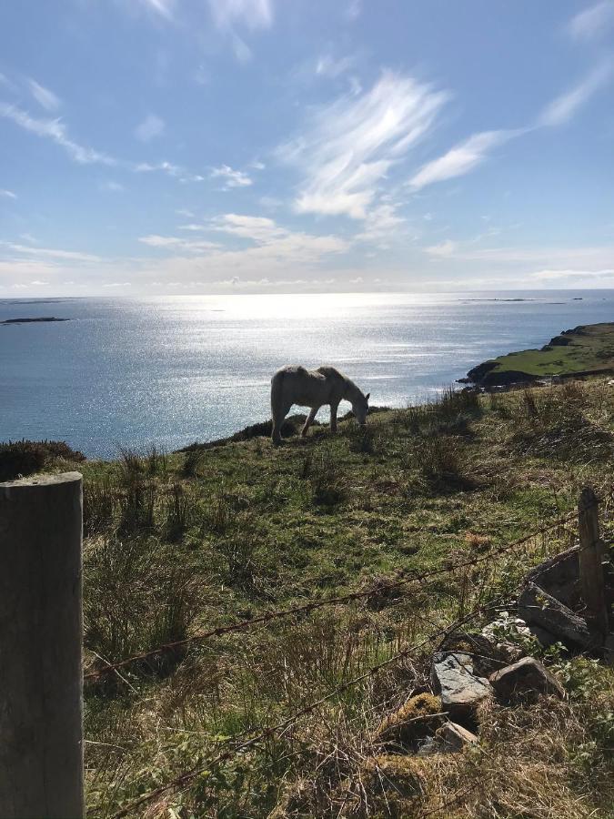 Seafield House B&B Clifden Exteriör bild