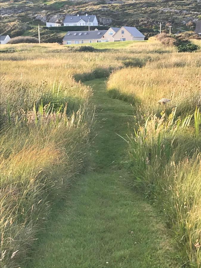 Seafield House B&B Clifden Exteriör bild