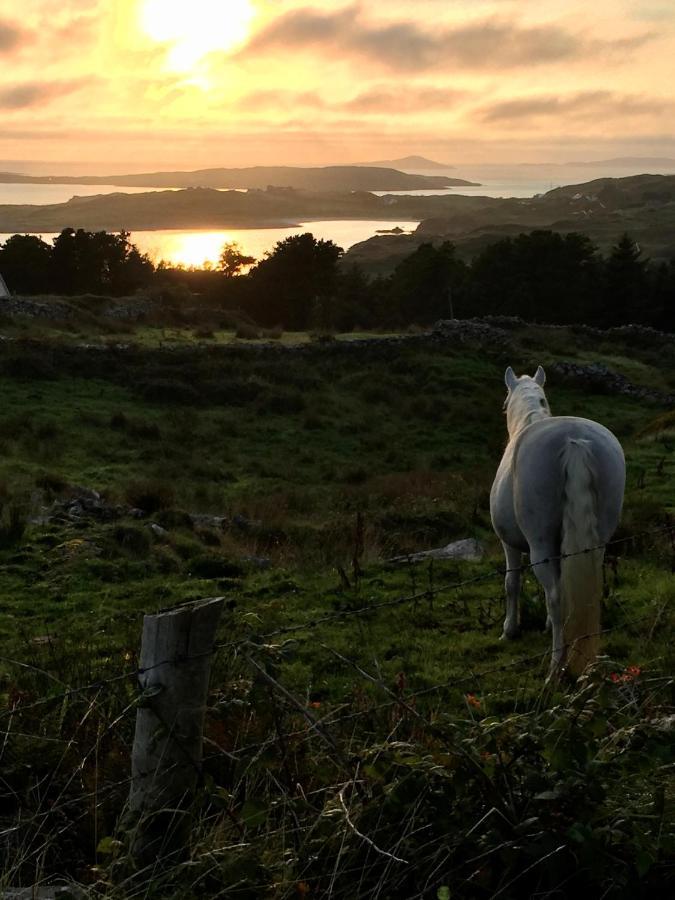 Seafield House B&B Clifden Exteriör bild